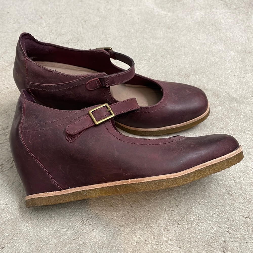 Eggplant purple Earth wedges